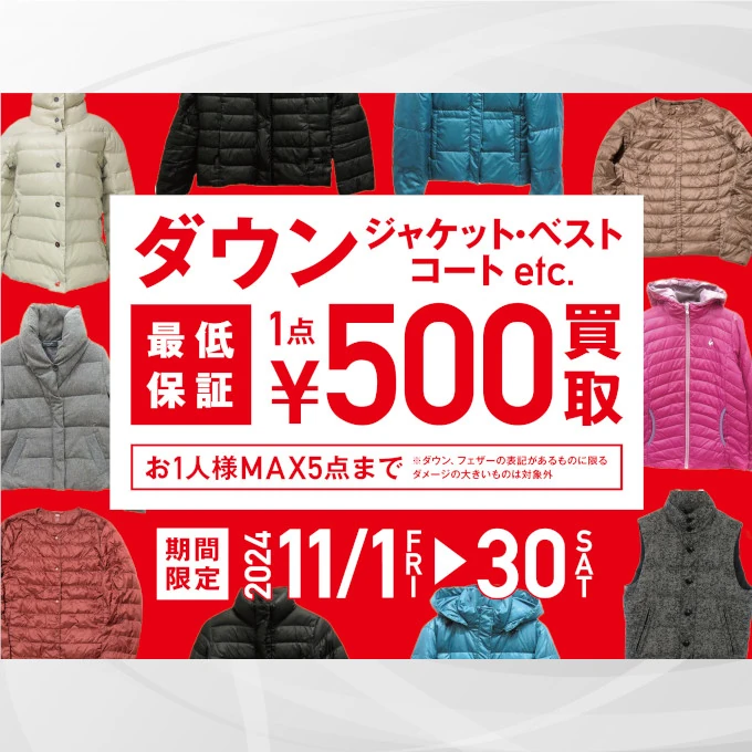 2024年11月キャンペーン